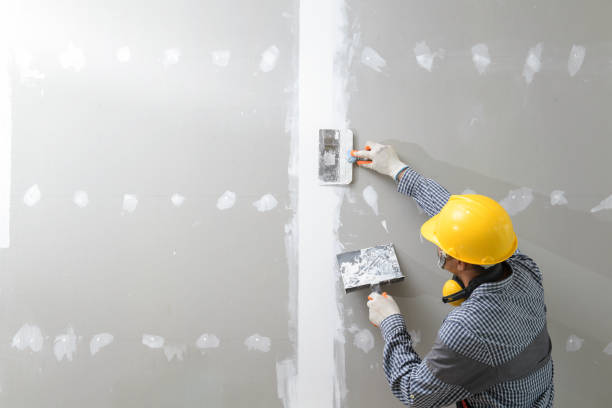 Best Mold-Related Health Consultation  in Fort Bragg, CA