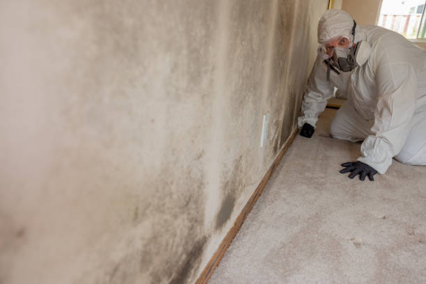 Best Air Quality Testing for Mold Spores  in Fort Bragg, CA