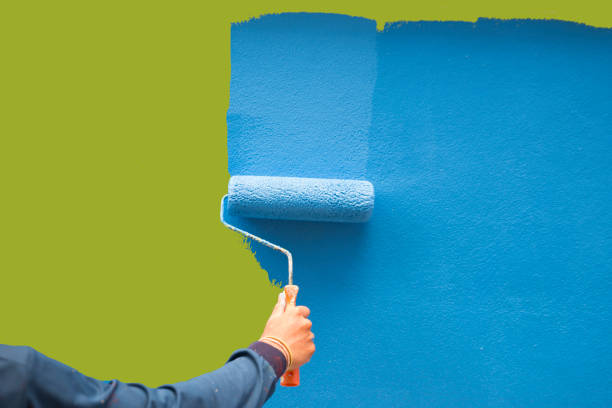 Mold Remediation for Rental Properties in Fort Bragg, CA